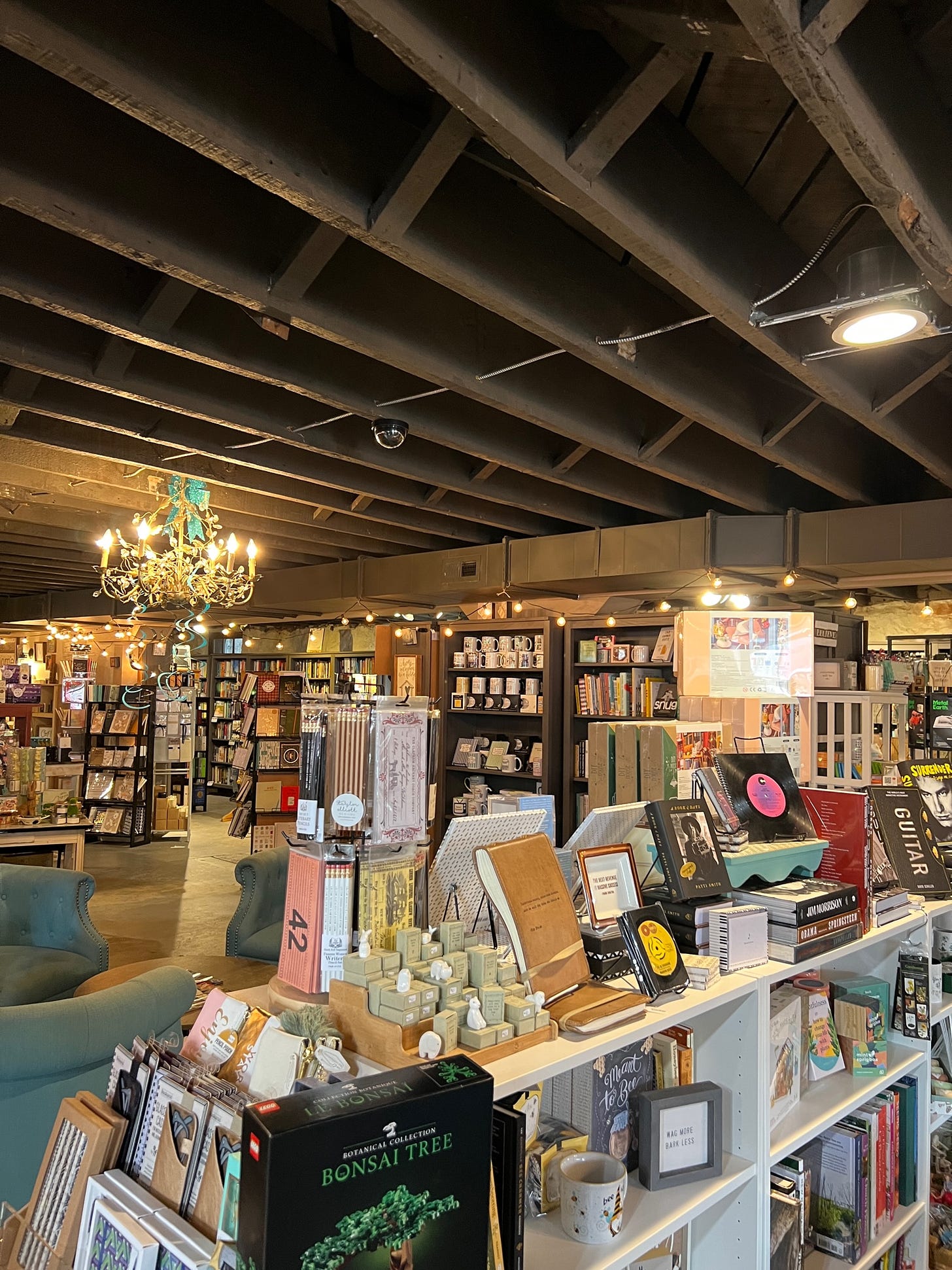The inside of Sassafras, an underground indie bookstore. There is a big gold chandelier hanging from an open ceiling and many filled bookshelves.