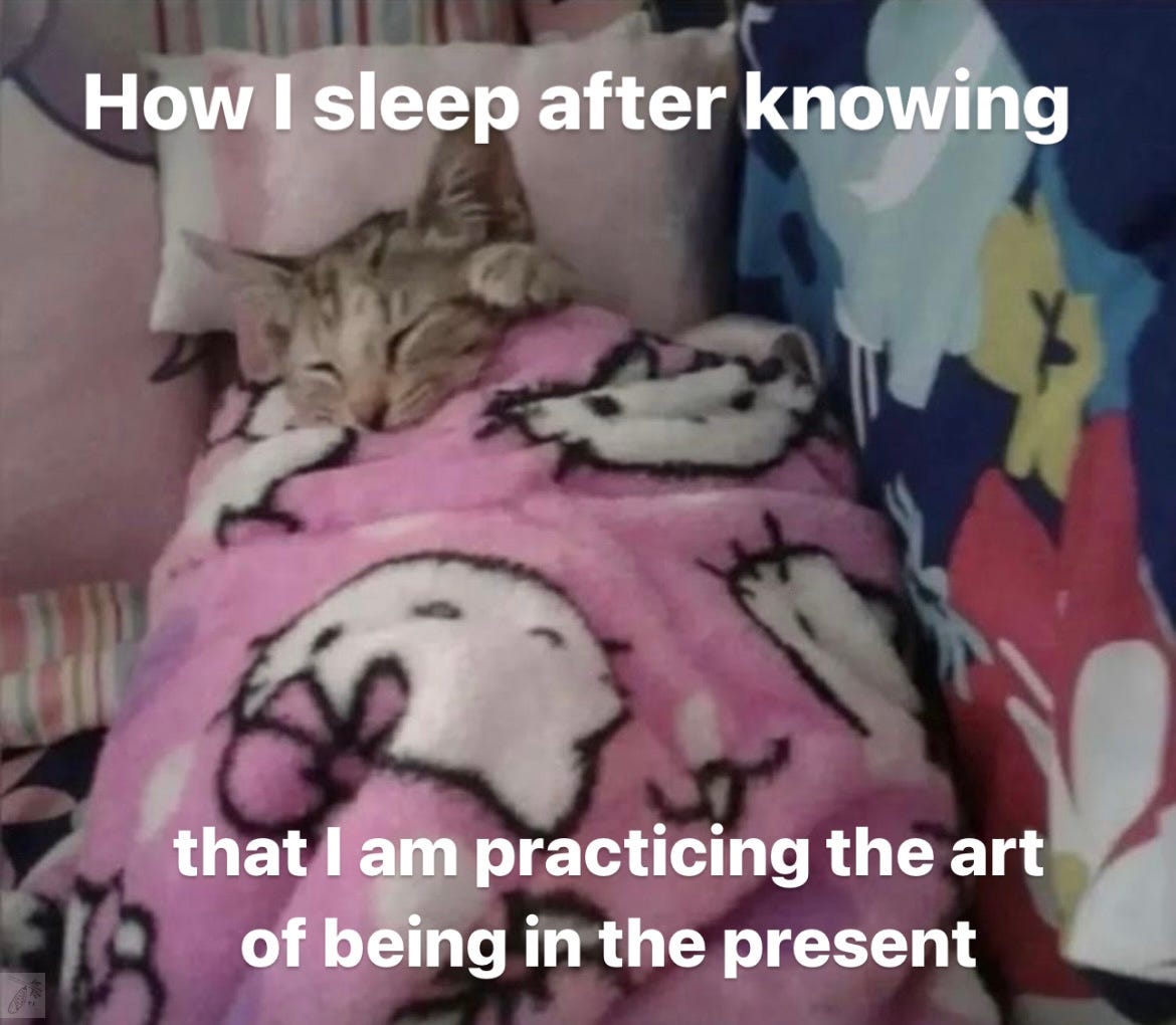 A cat sleeping with the caption:"How I sleep after knowing that I am practicing the art of being in the present"