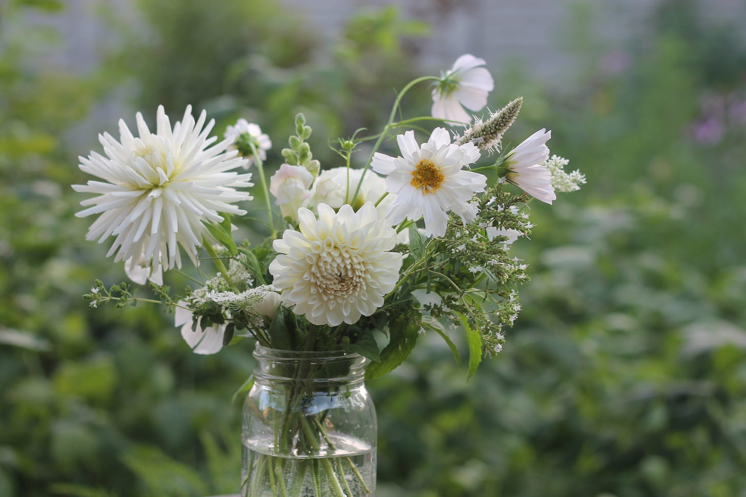 A mason jar holds a bouquet all in shades of white. It is sitting outside, greenery blurred behind it.