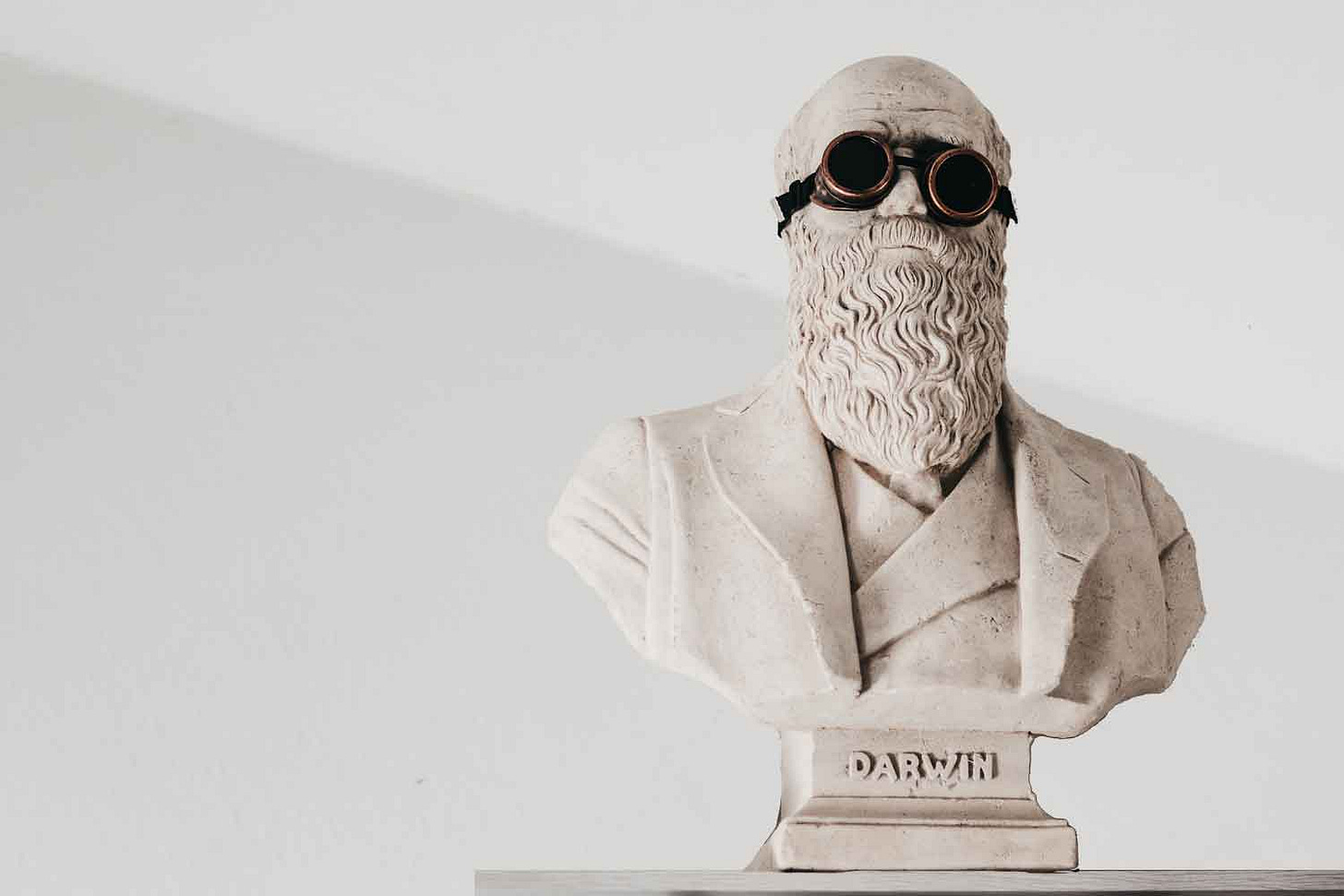 Bust of Darwin wearing some kind of goggles Bust of Darwin wearing some kind of goggles