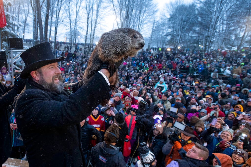 PETA repeats call to retire Punxsutawney Phil, says the groundhog is  'exploited' | MyStateline.com