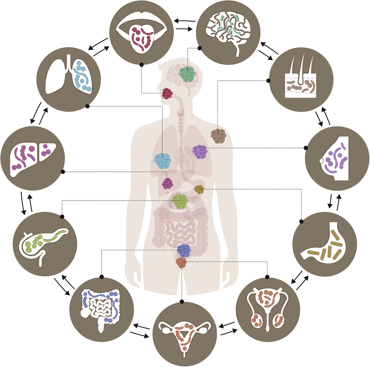 Microbiome and cancer: Cancer Cell