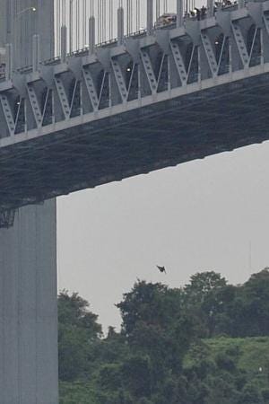 City sanitation worker leaps to his death from Verrazano Narrows Bridge