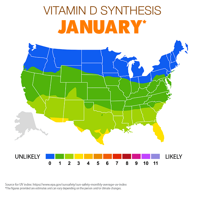 Vitamin D synthesis Jan