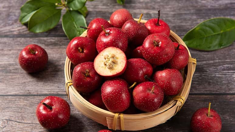 hawthorn berry benefits