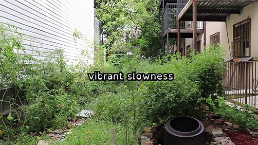A video still of a lush green backyard garden thriving in between apartment buildings, a caption in the middle of the image says “vibrant slowness”