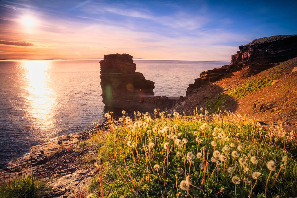 Bell Island Discovery Tour - Kated