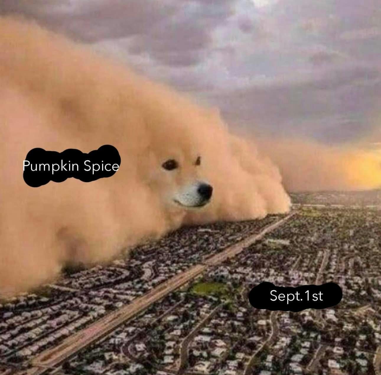 pumpkin spice latte meme showing doge as sand cloud labeled 'pumpkin spice' rolling over an entire city, labeled 'Sept. 1st'