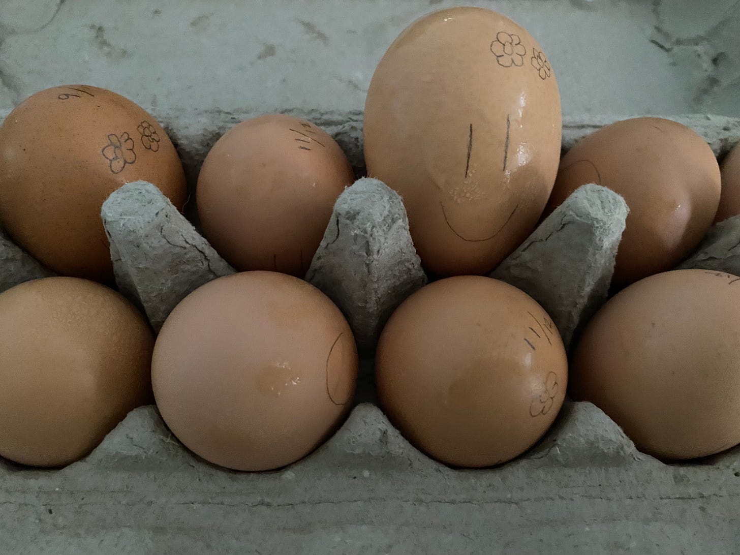 Six regular size eggs, one small egg and one enormous egg in a carton