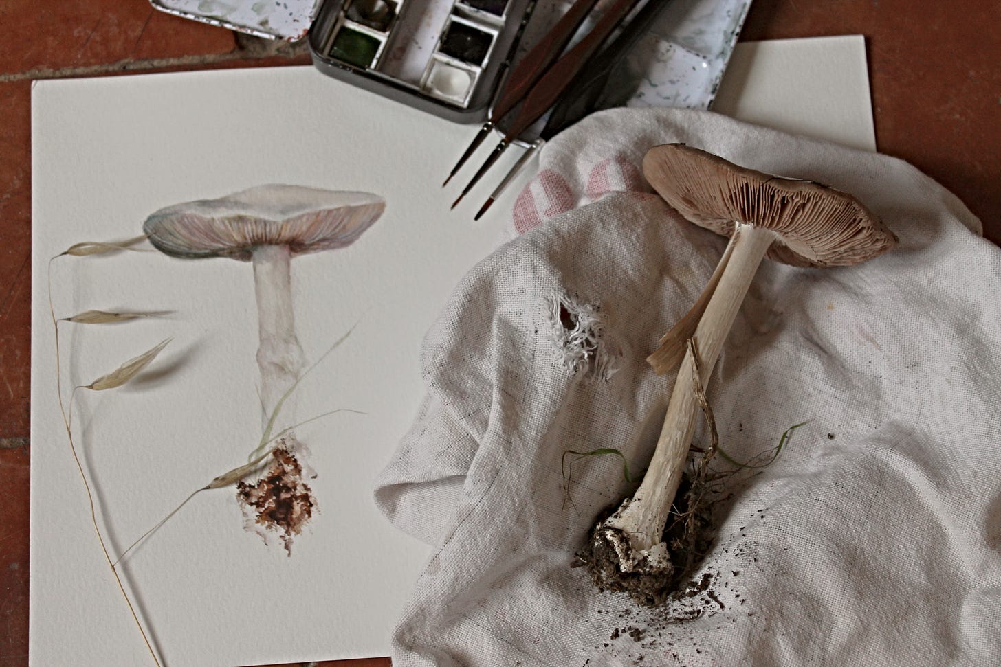 Mushroom painting with brushes