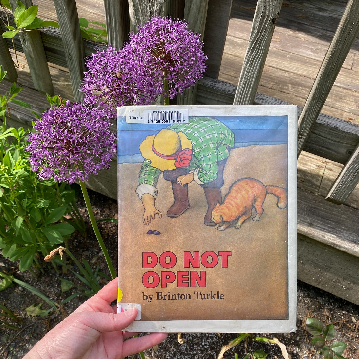 I’m holding up this book in a garden next to two purple allium flowers. 