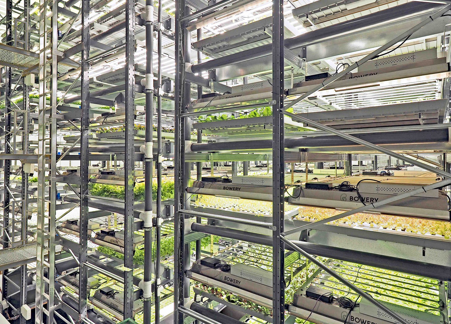 Bowery opens a new vertical farm in Pennsylvania | TechCrunch
