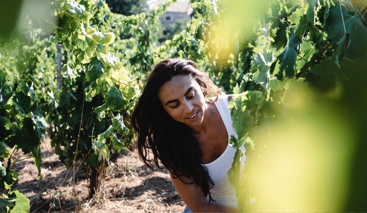 Azienda Agricola Arianna Occhipinti - Vini e cantina