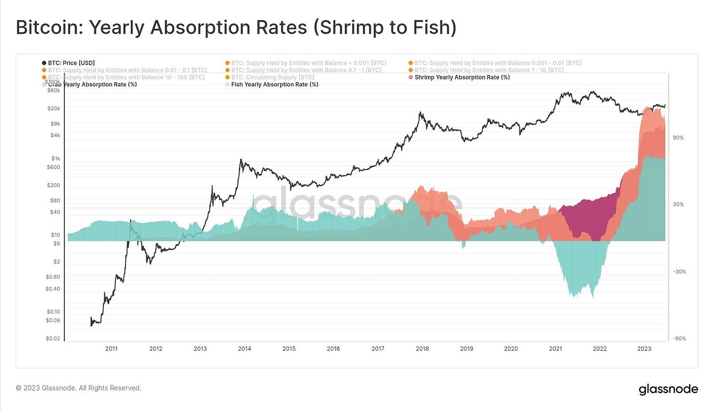 Bitcoin Shrimps And Fish