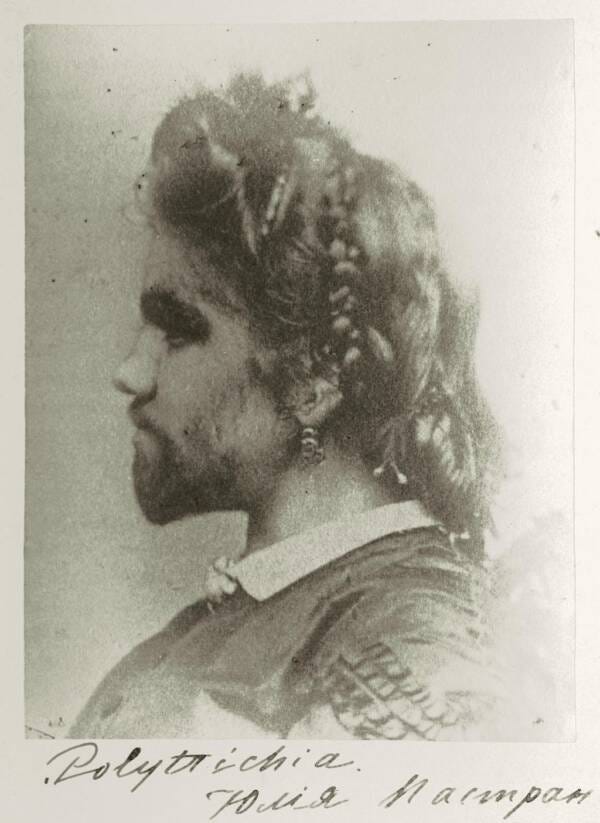 A sepia tone victorian photograph of woman with an elaborate hairdo. She is bearded with thick eyebrows, shown in profile