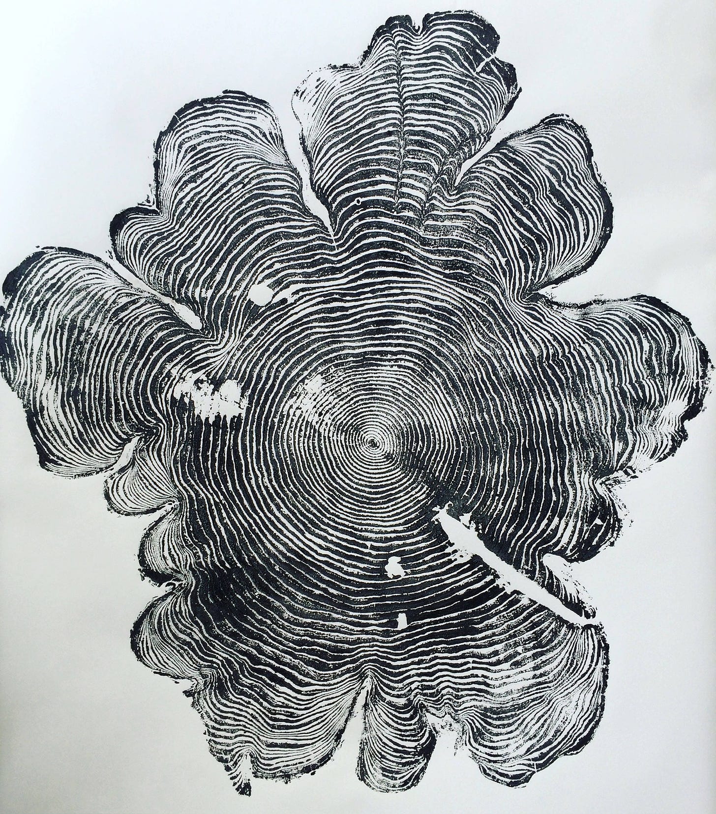 A black and white print made from a tree, with clear white rings showing the growth over time