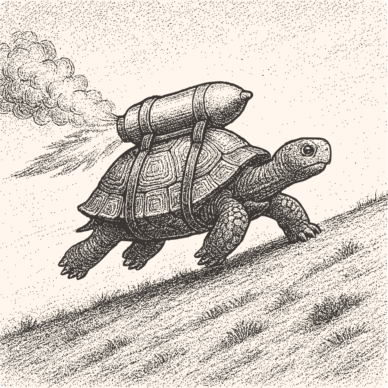An illustration of a tortoise with a jetpack
