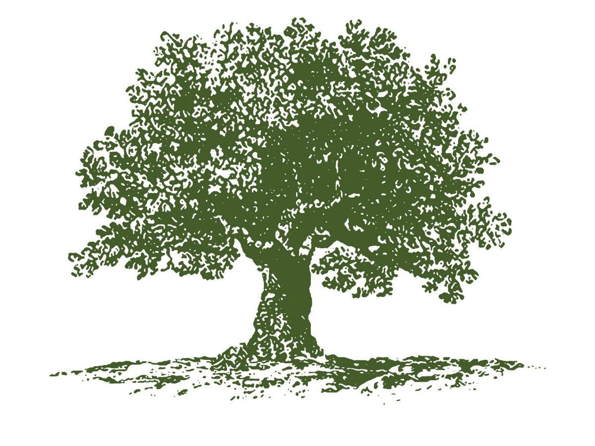 Newport Tree Conservancy is hiring a Program Director