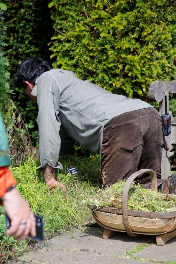 Troy Scott Smith, head gardener, gardening at Sissinghurst Castle Garden
