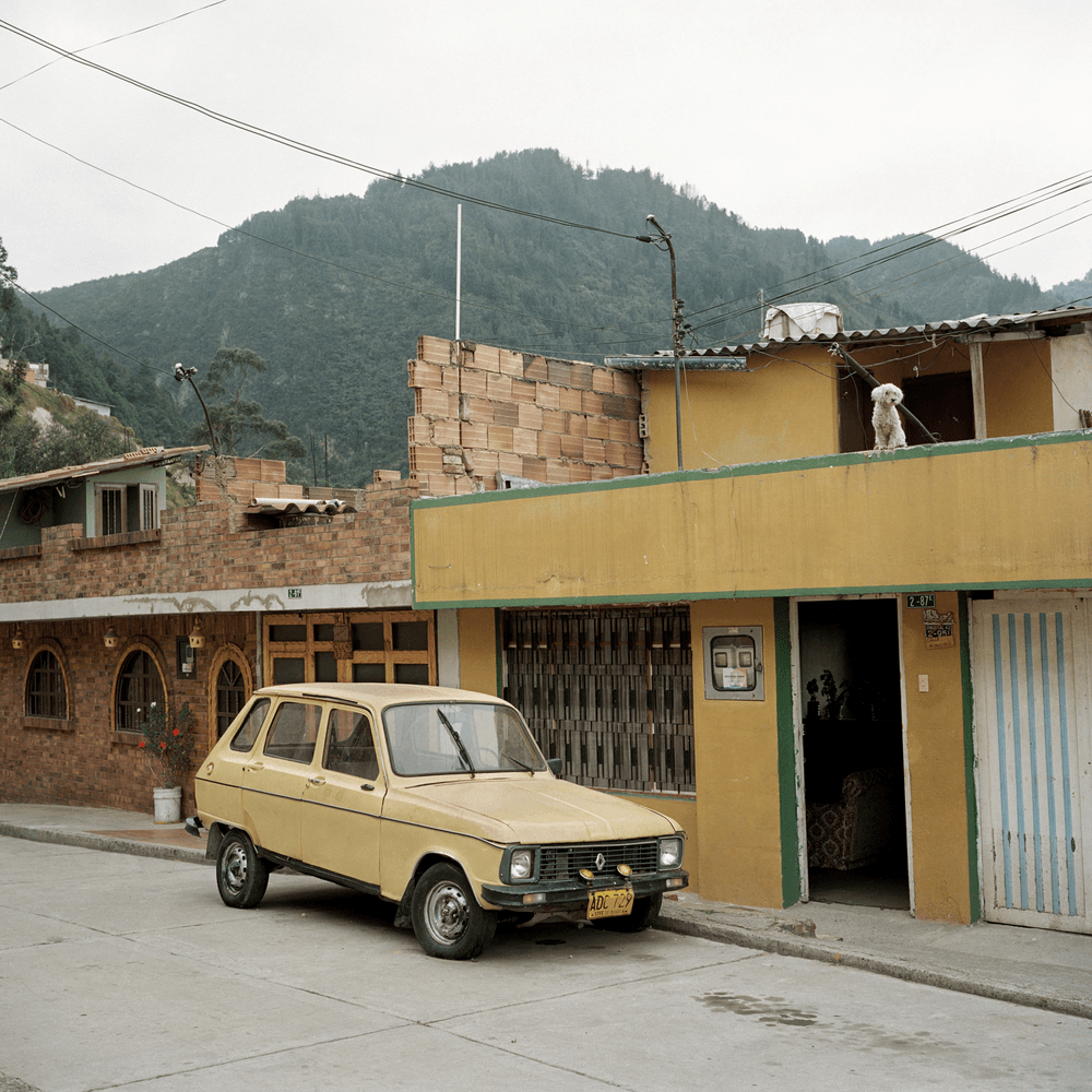 Dog Days, Bogotá #7 - Dog Days, Bogota by Alec Soth | OpenSea