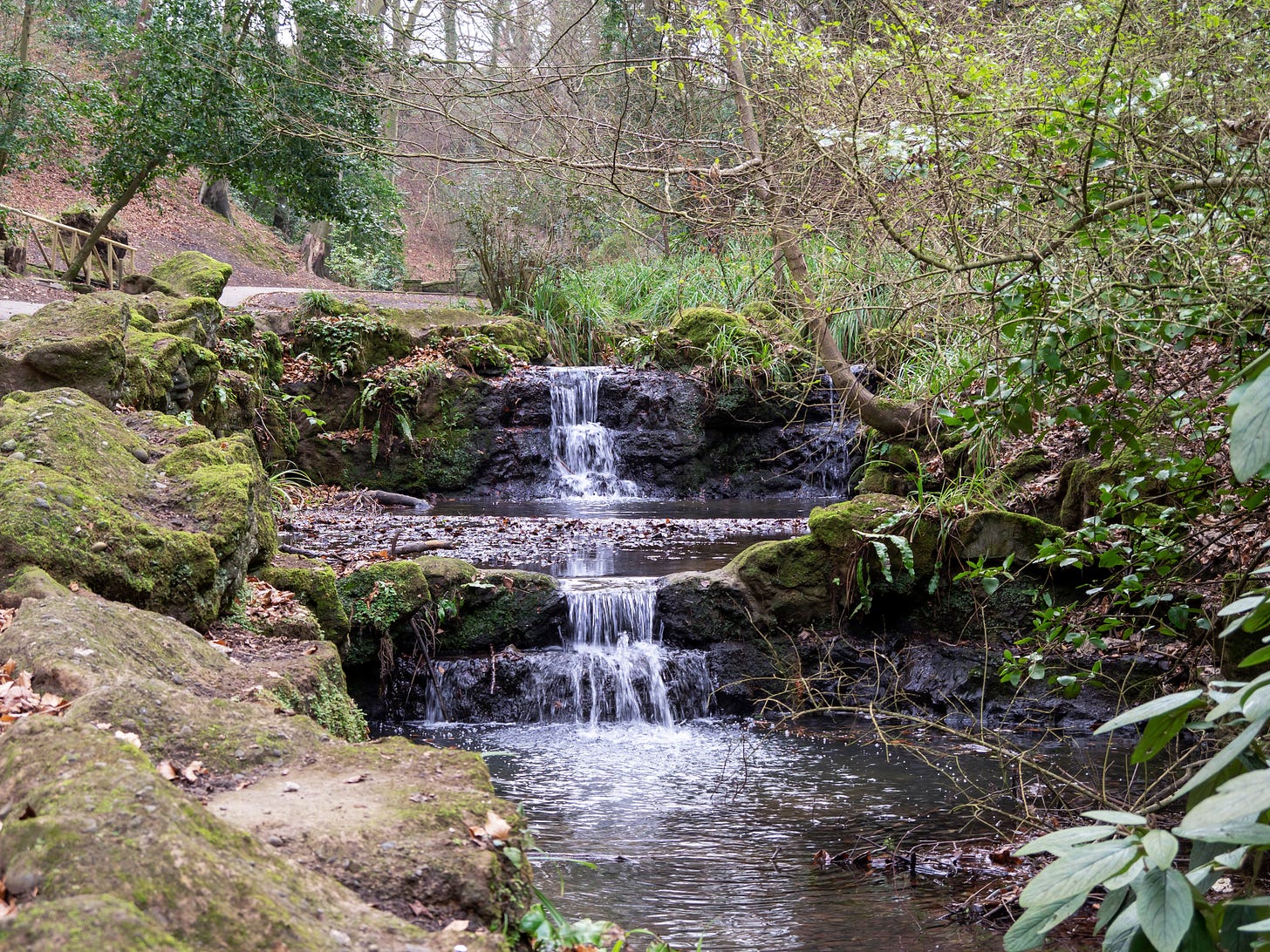 A series of small waterfalls in a glen