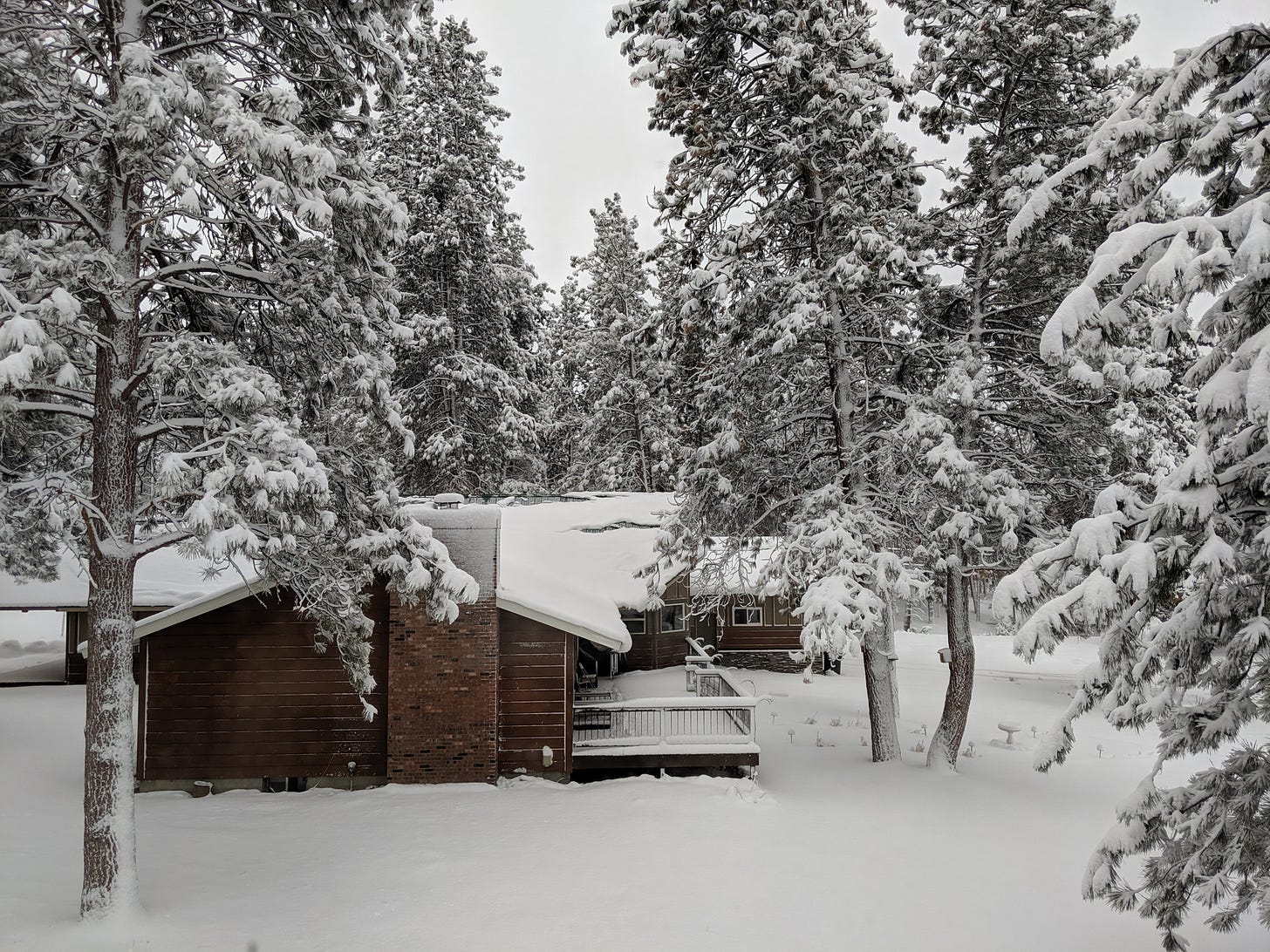 looking down at my former house, blanketed in snow and surrounded by large pine trees