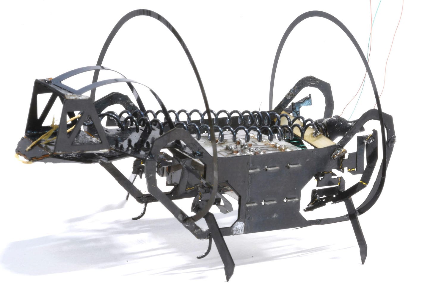 The modified HAMR robot, with its artificial furcula (left) locked and loaded