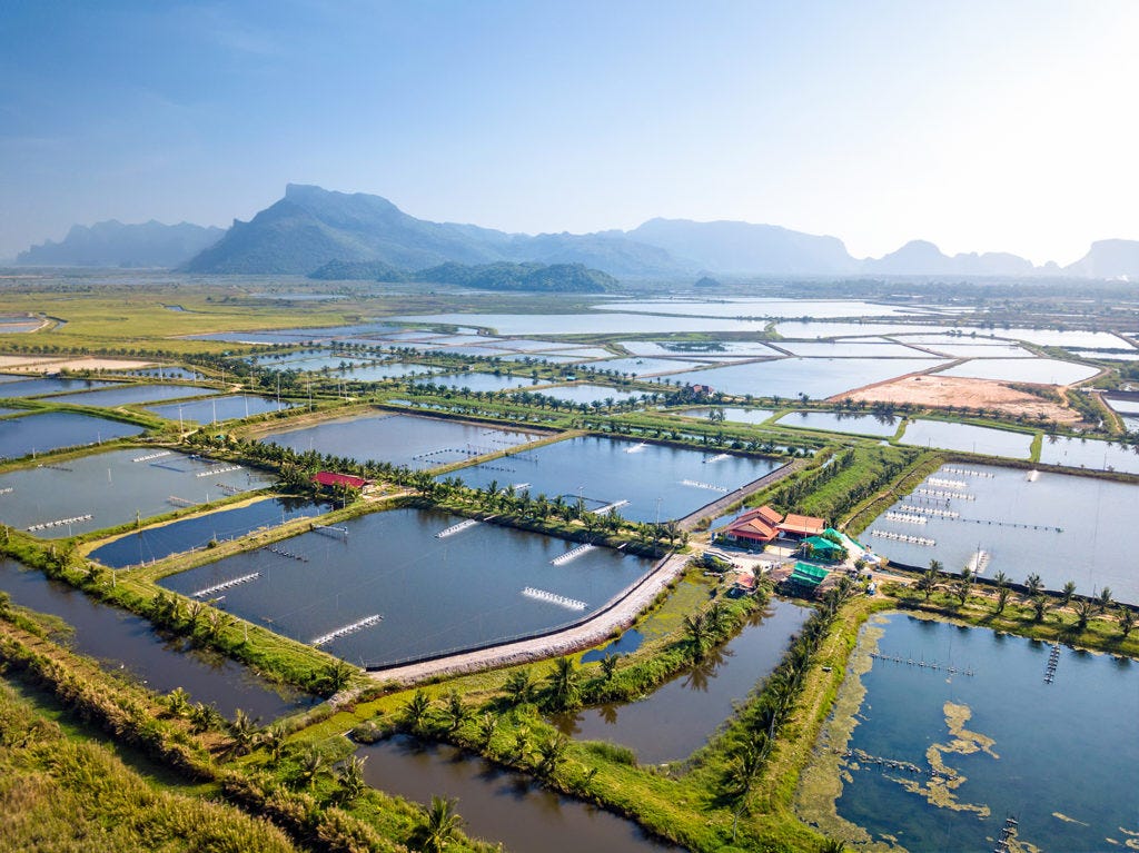 What is Aquaculture, and Why Do We Need It?
