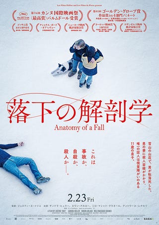 落下の解剖学 : 作品情報 - 映画.com