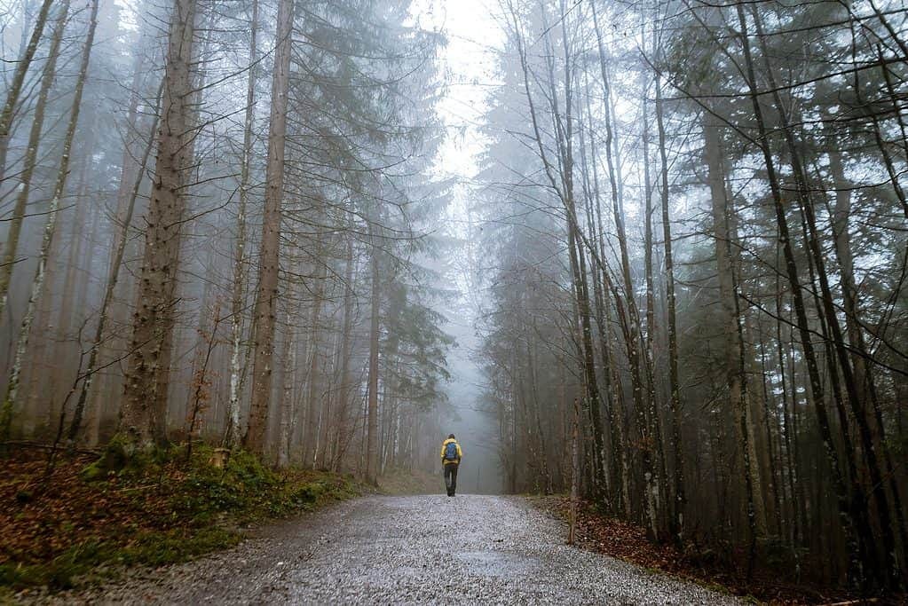 Man walking on a hazy misty forest path