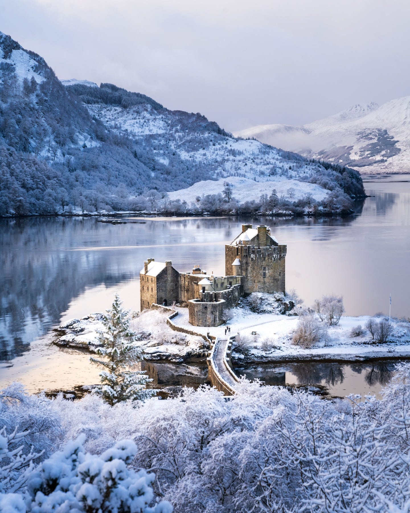 May be an image of nature and castle
