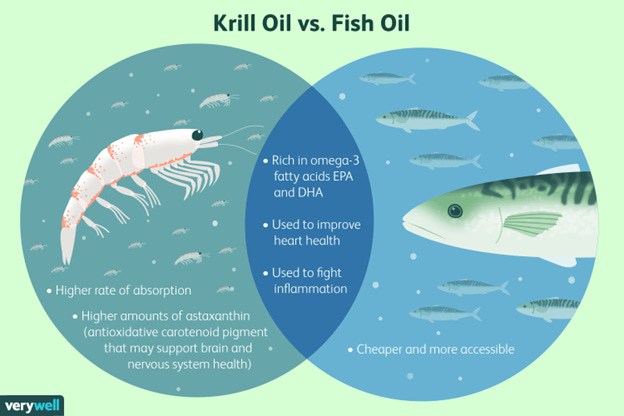 krill vs fish oil 
