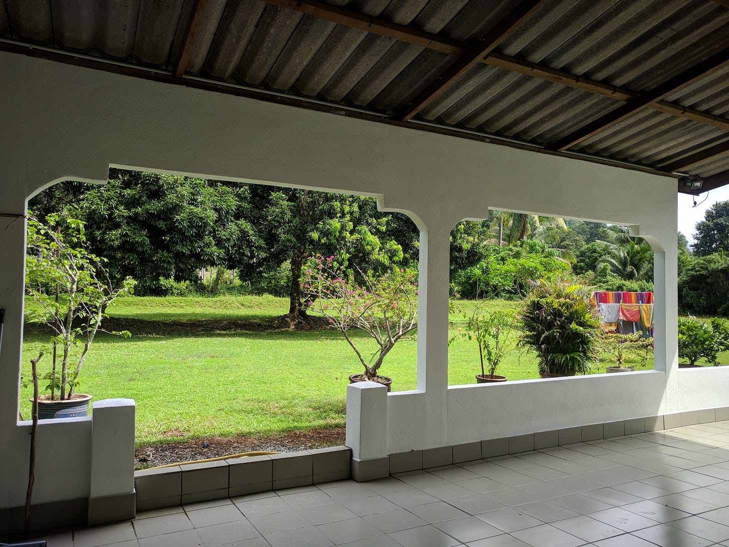 Backyard with green grass.
