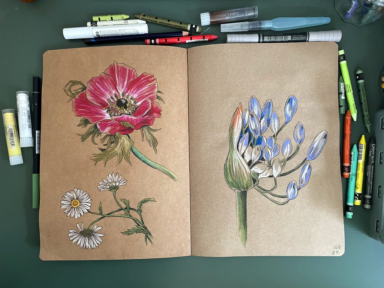 a kraft paper sketchbook with a drawing of a poppy, daisies and agapanthus
