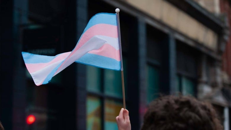 a trans pride flag being waved