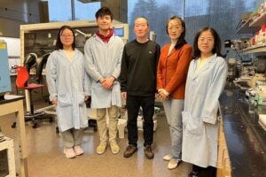 From left to right, PhD student Ying Guo, master's student Justin Zhong, Professors Jin Liu and Katie Zhong, and Postdoctoral Researcher Lulu Ren are studying the use of corn protein to improve lithium-sulfur batteries.
