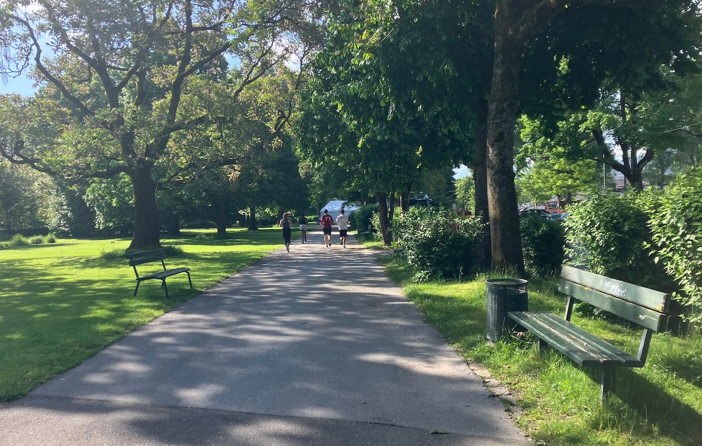 Verdant trees shade the course