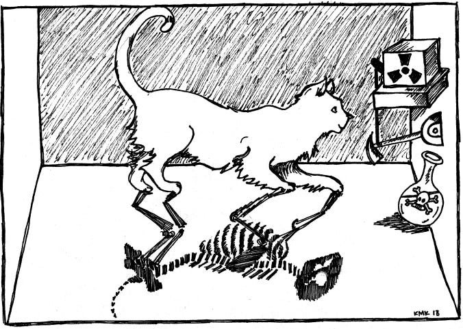 sketch of Schrödinger's cat