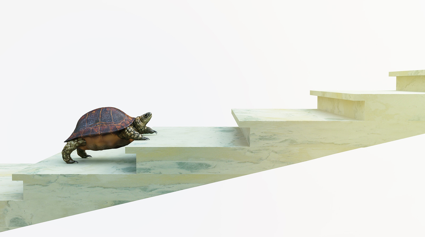 Turtle climbing a staircase