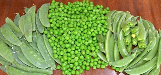 types of peas 