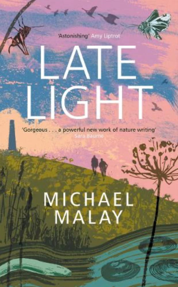 Book cover to Late Light by Michael Malay. A pink and blue sky over a green yellow hill and river at the bottom, all in a painterly style with wisps of foliage and two figures on the horizon.