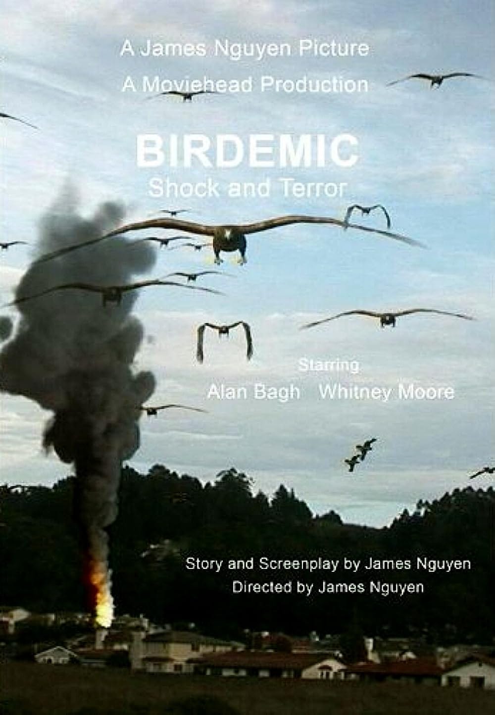 Birdemic: Shock and Terror (2010) - IMDb