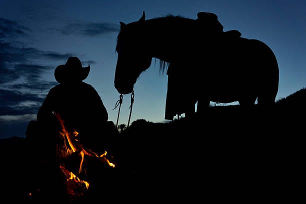 Desert Cowboy