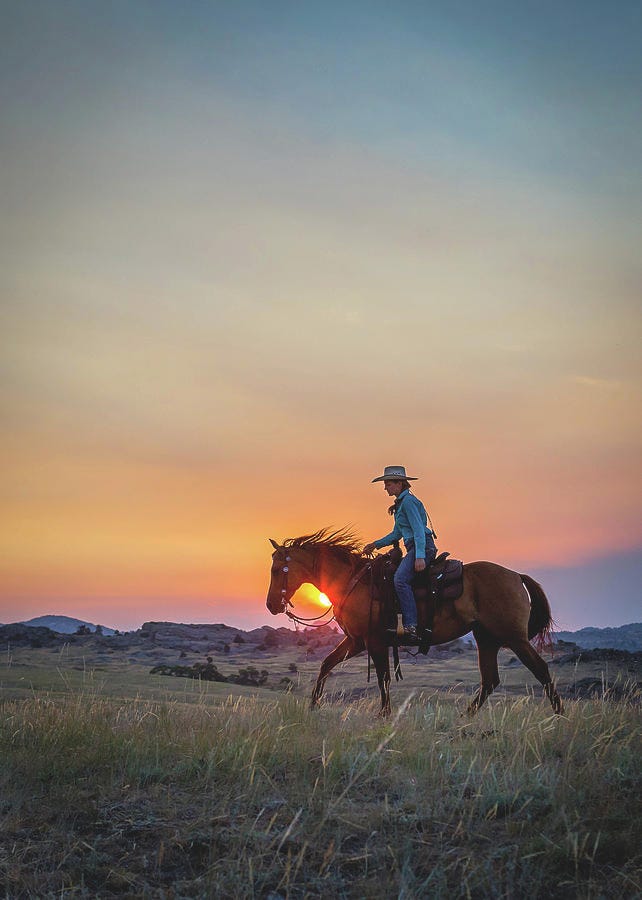 Cowgirl At Sunset Photograph by Fast Horse Photography