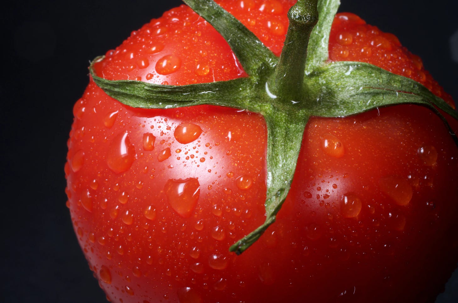 A tomato with water droplets on the skin, ready for a bite