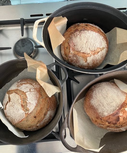 Three breads Severn Bites