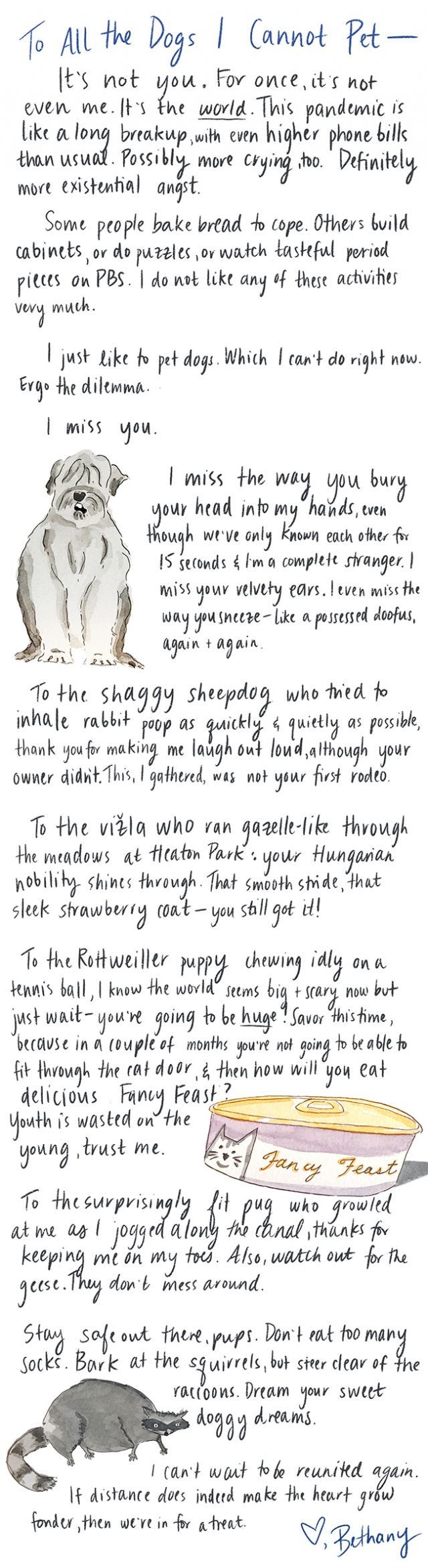 To All the Dogs I Cannot Pet: illustrated essay by Bethany Kaylor