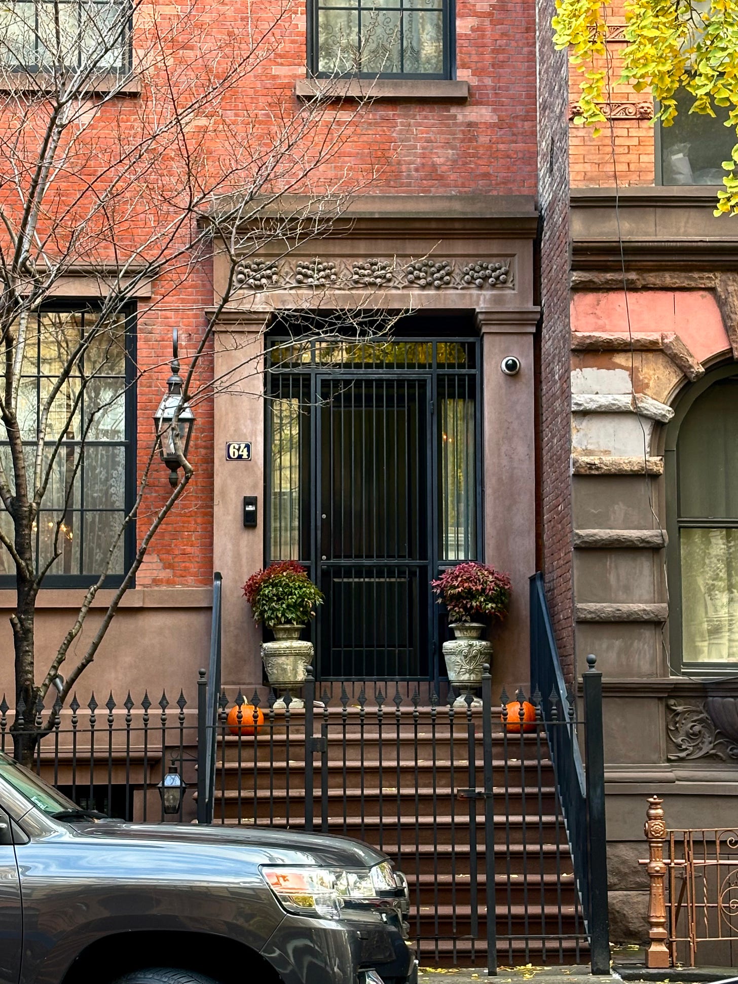 An old-fashioned, yet timeless, entryway to an apartment. The lintel is brown and engraved with fruit. There is a black lamp to the left of the door. The building number is 64. There is a stoop with a flight of steps and a mostly bare tree next to the stoop.