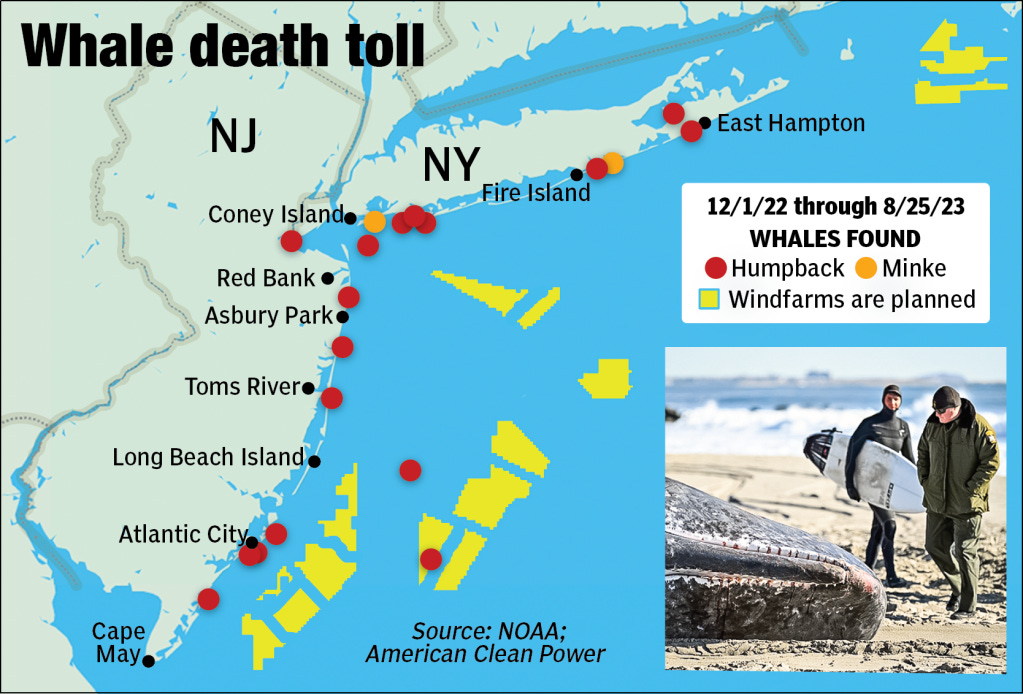 A map showing where whales have been found dead