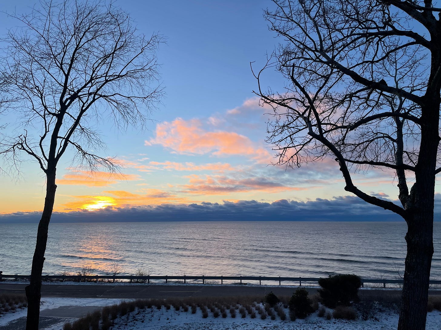 Two leafless trees in the foreground with a sunset of pinks and yellows over a blue lake